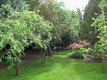 Foxwood Guest House Robin Hood المظهر الخارجي الصورة